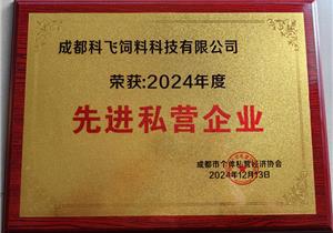 先進私營企業（yè）